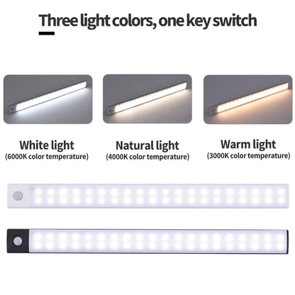 Rechargeable Interior Lighting